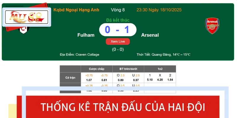 Bạn nên dựa vào tính năng thống kê để hiểu rõ hơn về các chỉ số