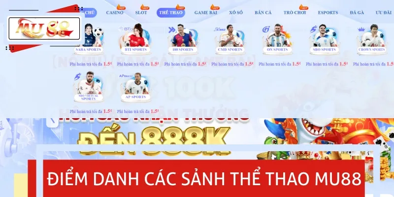 Điểm qua những sảnh thể thao hàng đầu được đánh giá uy tín