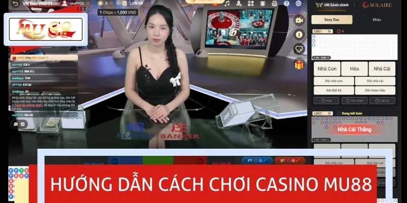 Chi tiết các bước trải nghiệm thế giới cược casino đẳng cấp