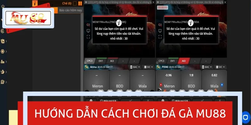 Chi tiết hướng dẫn cách chơi cược chọi gà cho tân thủ