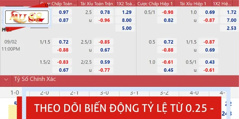 Bạn nên theo dõi biến động tỷ lệ ở mức 0.25 - 1.0 để tăng tỷ lệ thắng